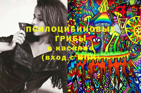прущие грибы Абинск