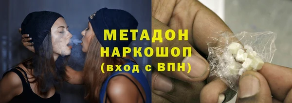 прущие грибы Абинск
