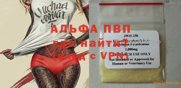 прущие грибы Абинск