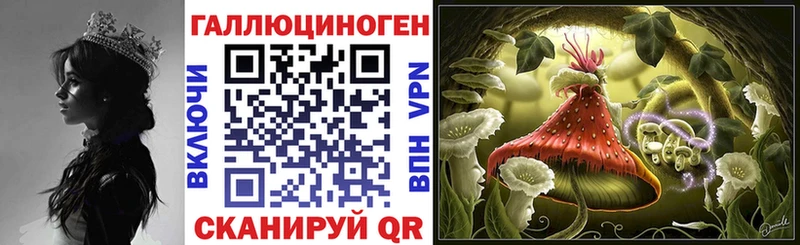 Псилоцибиновые грибы GOLDEN TEACHER  сколько стоит  Болотное 